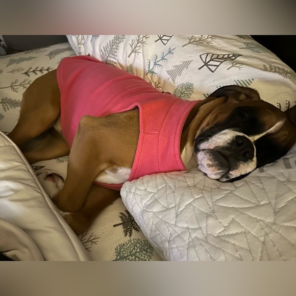 Gooby Zip Up Fleece - Pink - Size Large. - Picture 7 of 10